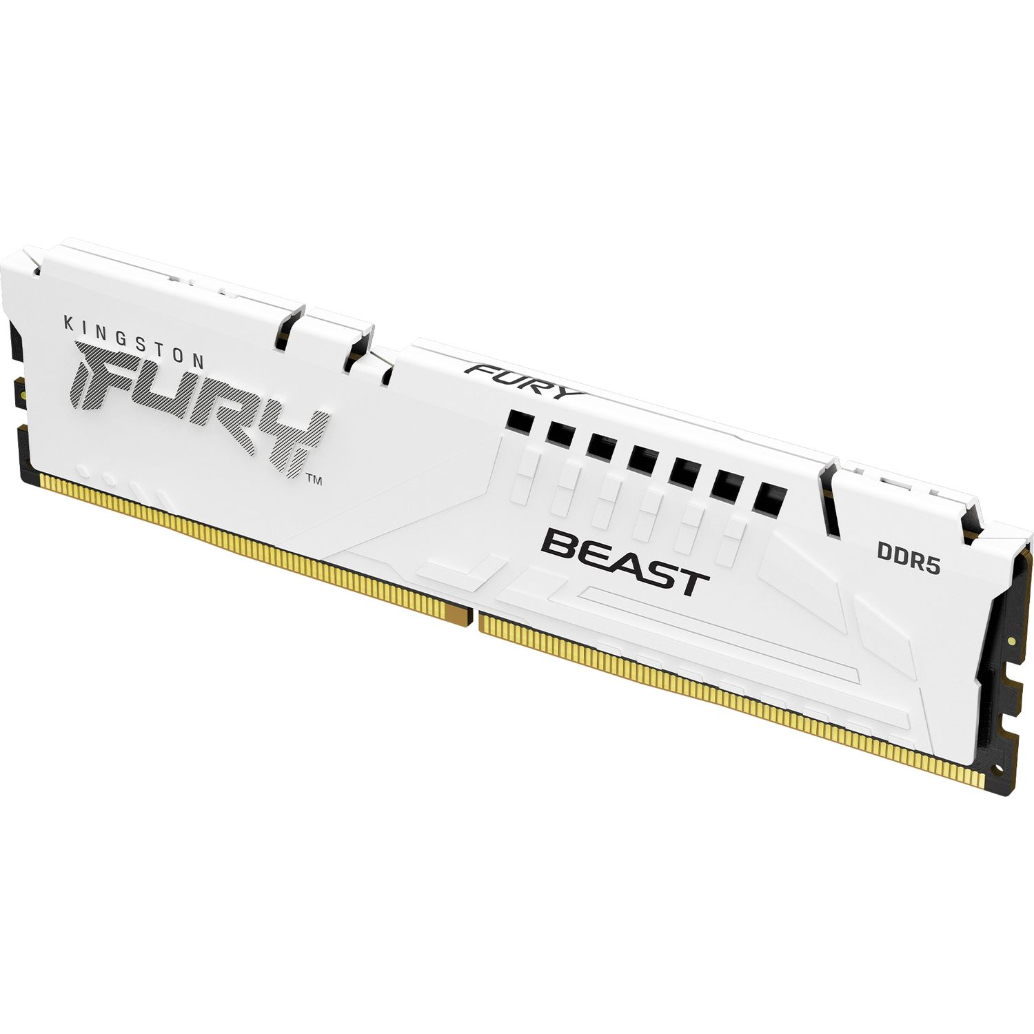 Память оперативная Kingston FURY Beast KF552C40BW-16